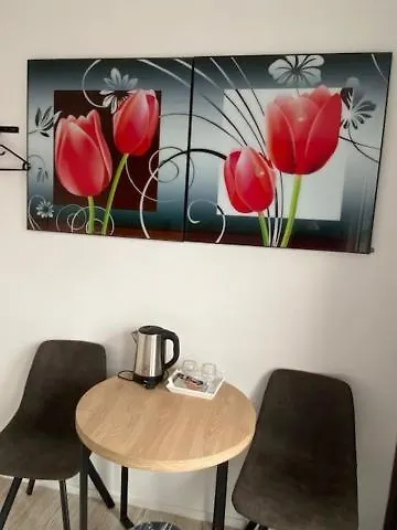 ベッド・アンド・ブレックファスト The Diem Amsterdam Diemerbrug